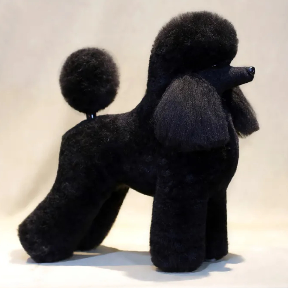 black-wig-poodle-01.jpg