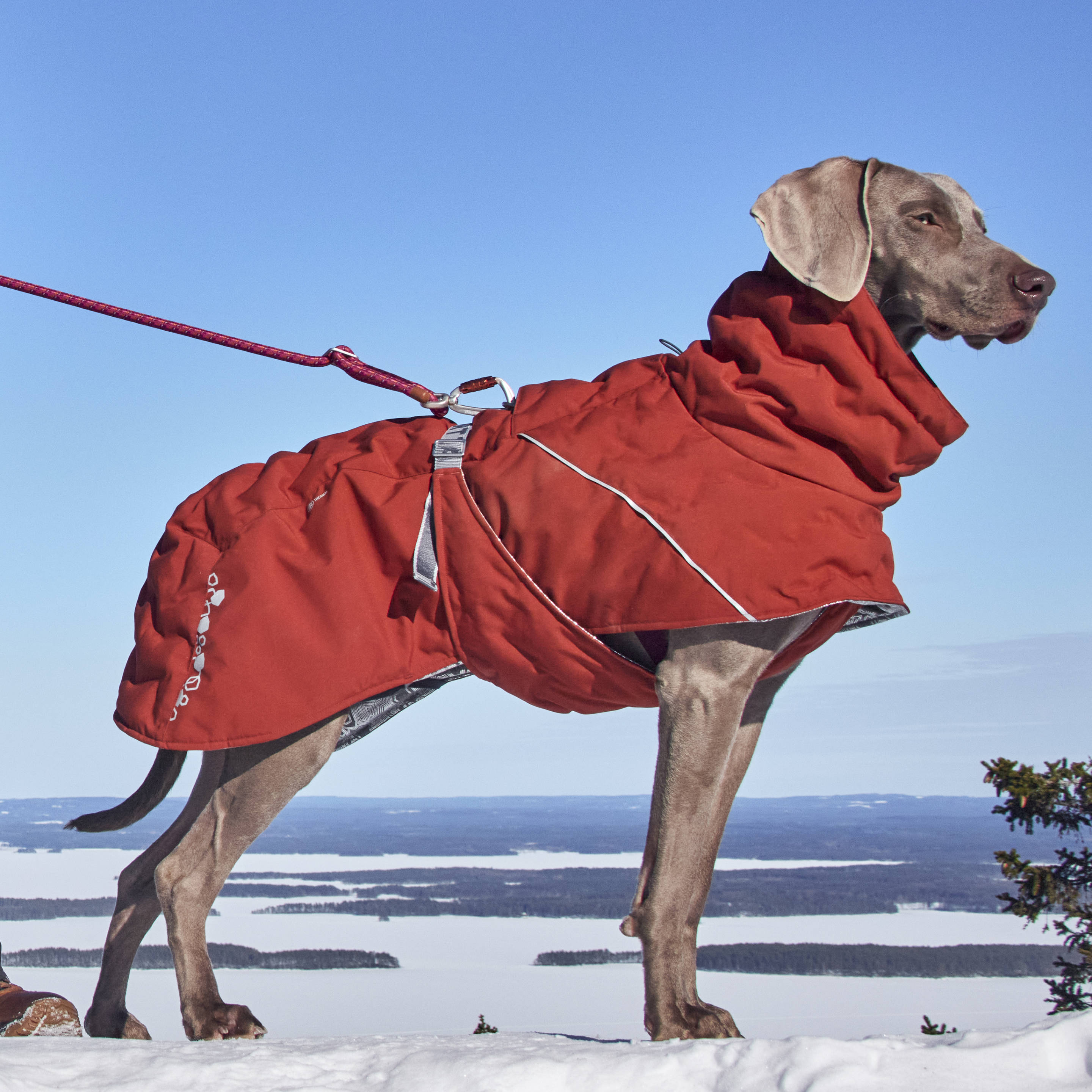 Hurtta Extreme Warmer III Eco Cinnamon - Waterproof Winter Dog