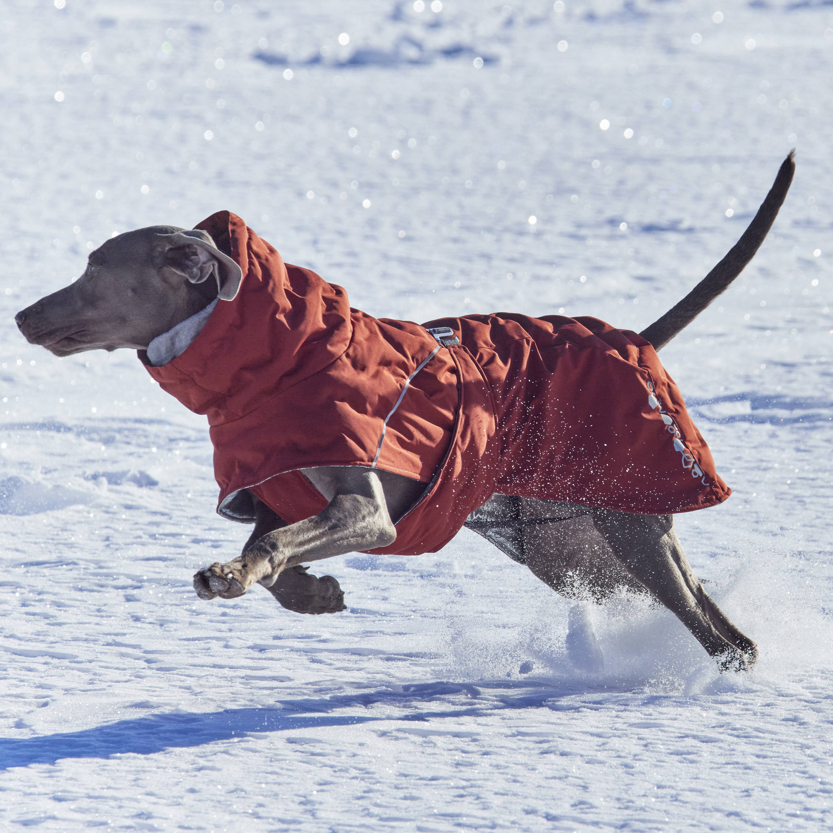 Hurtta Extreme Warmer III Eco Cinnamon - Waterproof Winter Dog