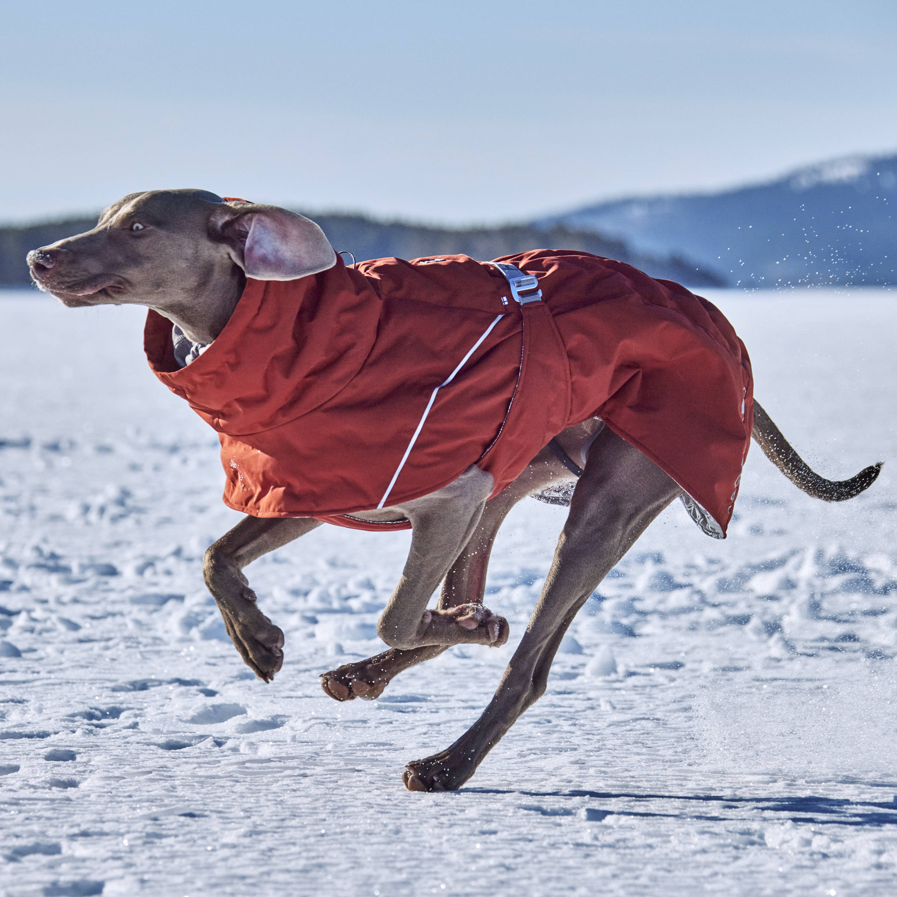 Winter Coat Hurtta Extreme Warmer Dog Jacket Winter Coat Hurtta