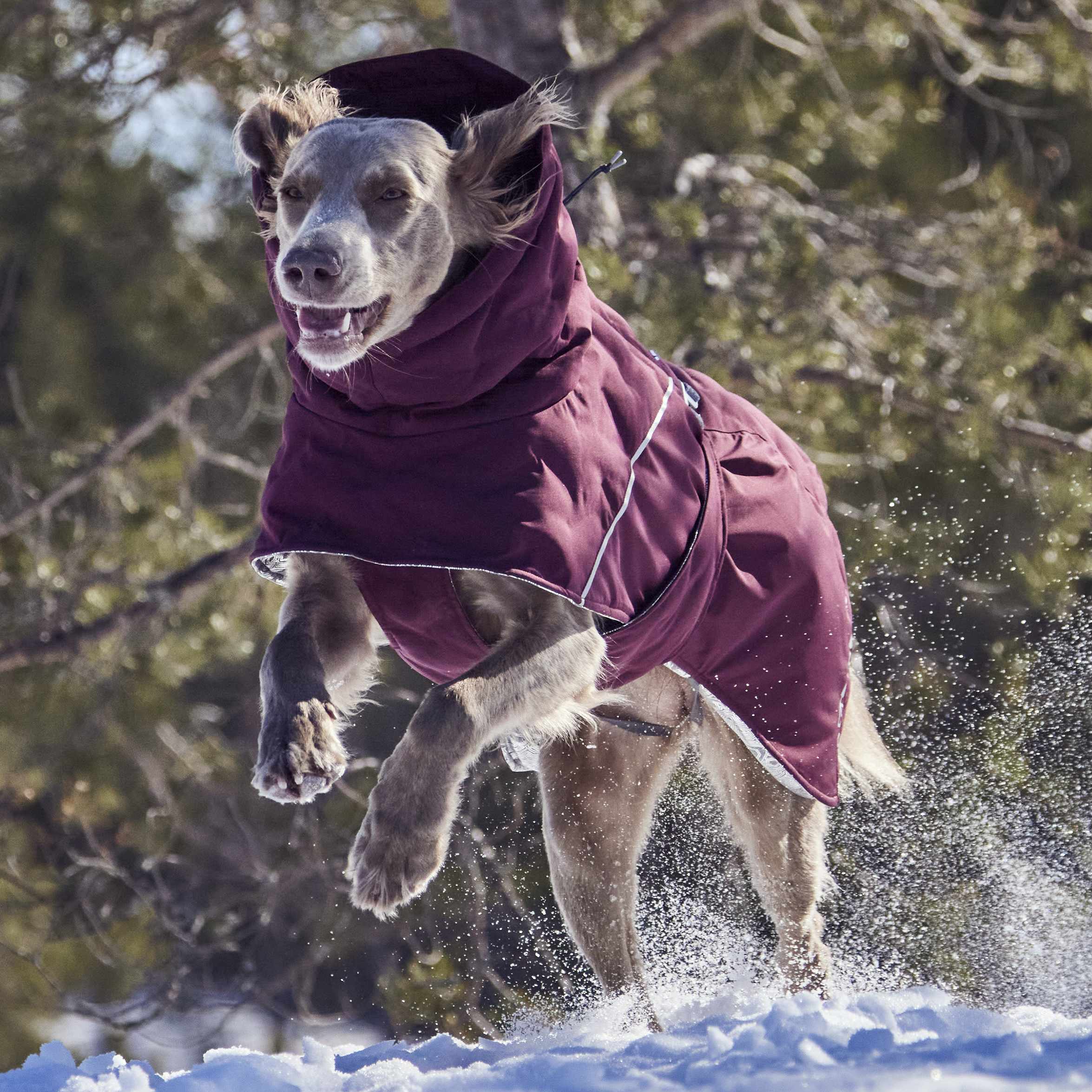 Hurtta Extreme Warmer III Eco Eggplant - Waterproof Winter Dog