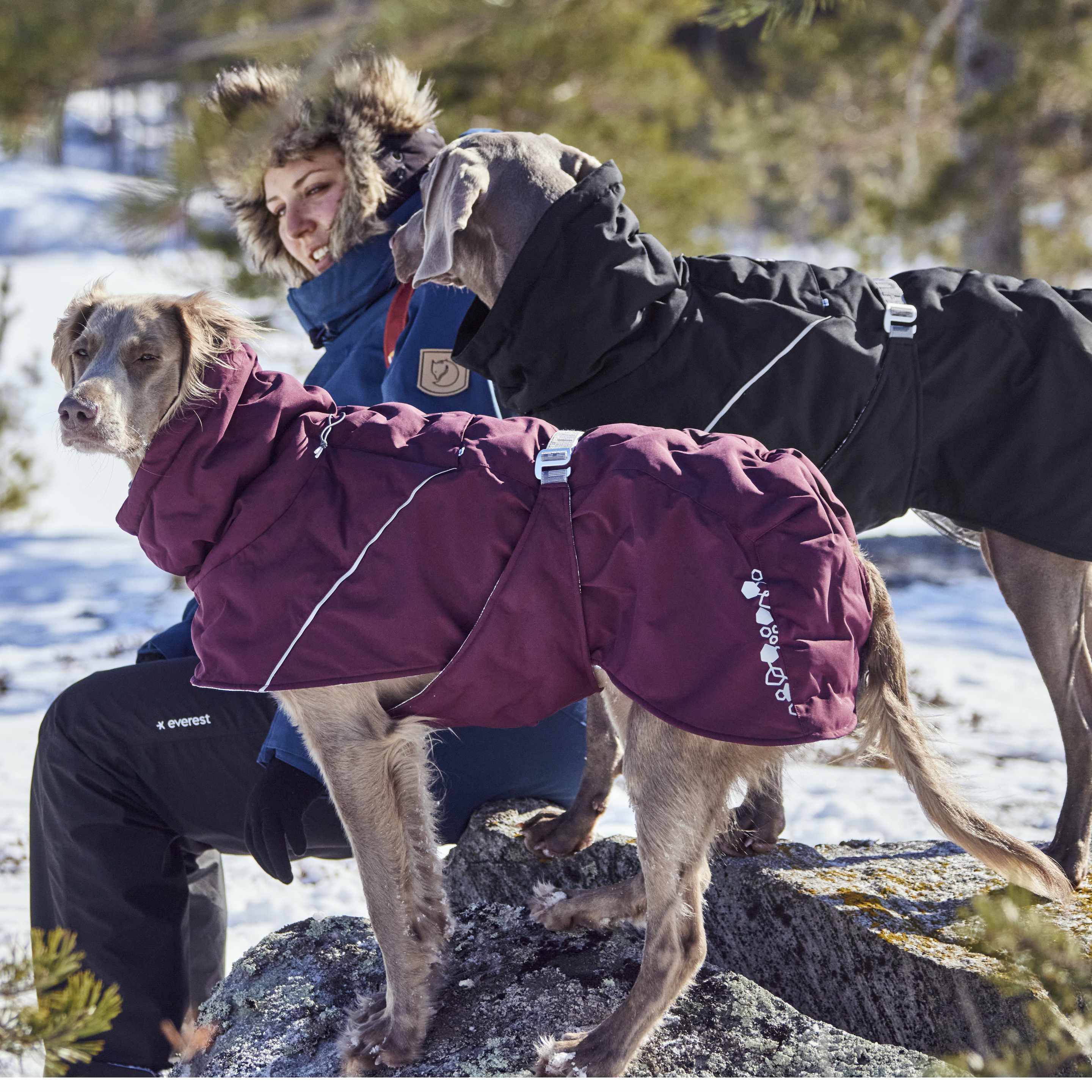 Hurtta Extreme Warmer III Eco Eggplant - Waterproof Winter Dog