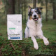 Nature's Protection Superior Care Hypoallergenic Adult All Breeds Salmon - karma hypoalergiczna dla psa, z łososiem