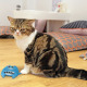 KONG Refillables Purrsonality Sassy - szeleszcząca zabawka dla kota z kocimiętką, pomarańczowy kot z zapasem kocimiętki