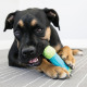 KONG CoreStrength Bone - gumowa kość dla psa, ze wzmocnionym rdzeniem