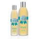Show Premium Make It Big Shampoo - szampon zwiększający objętość włosa i dodający tekstury, koncentrat 1:8