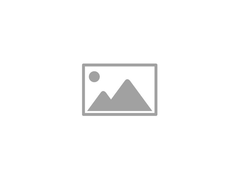 ProPet średnio-twarda szczotka pudlówka z długimi igłami, wzorowana na rosyjskie zgrzebło