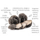 Syta Micha TrufLove z koniną i truflami 100g - miękkie, hipoalergiczne przysmaki dla psa