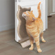 KONG Connects Kitty Comber - ocierak dla kota, duża szczotka na drzwi do samodzielnego masażu