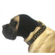 Trim Headband For Dogs - czarna opaska do suszenia płochliwych psów