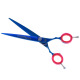 P&W Blue Star Titanium Scissors - nożyczki do strzyżenia zwierząt, proste