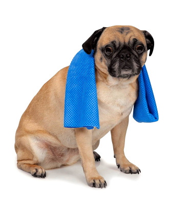 Doogy Cooling Pet Towel 66x43cm - ręcznik chłodzący dla psa i kota