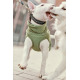 Hurtta Razzle-Dazzle Collar Blackberry - regulowana obroża dla psa