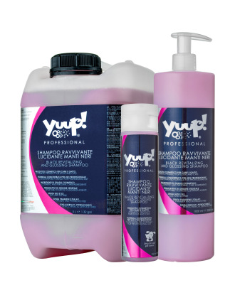 Skład Yuup! Professional Black Revitalising & Glossing Shampoo 