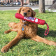 KONG Signature Stick with Rope M (31cm) - bezpieczny aport dla psa, z linką