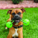 KONG Squeezz Ball with Rope L - zawsze piszcząca piłka na sznurku dla psa, szarpak z uchwytem