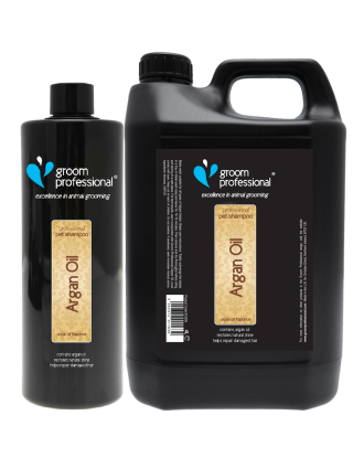 Groom Professional Argan Oil Shampoo - nawilżający szampon z olejkiem arganowym, do włosów suchych, koncentrat 1:10
