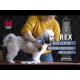 Moser Rex 1230 - maszynka do domowego strzyżenia zwierząt 15W