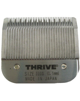 c107a6724cd8ba5704fa6f9a77e2f8ac