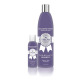 Show Premium DogGone White Shampoo - szampon rozjaśniający dla psów z białym i jasnym włosem, koncentrat 1:8