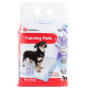 Flamingo Training Pads Lavender 20szt. - maty higieniczne dla psa, o zapachu lawendy