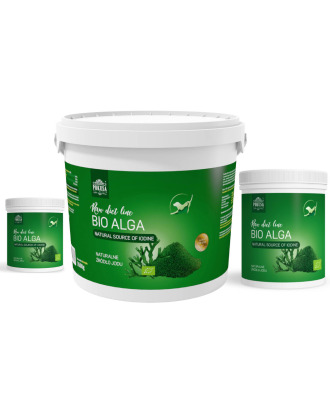 Pokusa RawDietLine Bio Alga - mączka z norweskich alg morskich, bogate źródło składników odżywczych