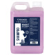 Groomers Performance Ridasect Shampoo - szampon przeciw pchłom i kleszczom, z citronellą, koncentrat 1:10