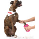 Dexas Mudbuster Dog Paw Cleaner Large - silikonowy czyścik do łap psa, rozmiar L
