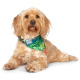 Max&Molly Reversible Bandana Tropical - chusta dla psa, dwustronna